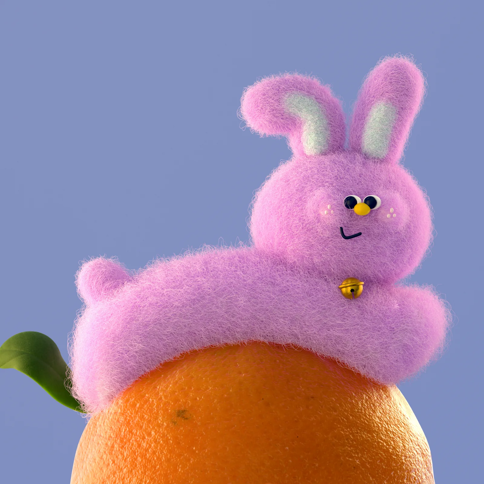 The year of the Rabbit